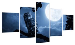 Obraz - Nocna Sowa (125x70 cm)