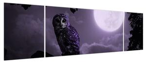 Obraz - Nocna sowa, fioletowy (170x50 cm)