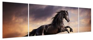 Obraz - Konie (170x50 cm)