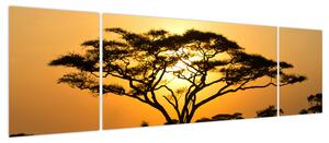 Obraz - Afrykańska sawanna (170x50 cm)