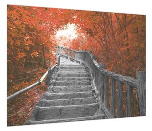 Obraz - Schody w naturze, pomarańczowy (70x50 cm)