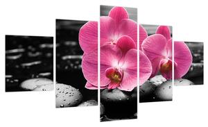 Obraz - Różowe orchidee (125x70 cm)