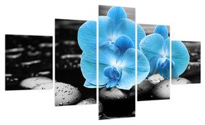Obraz - Niebieska Orchidea (125x70 cm)