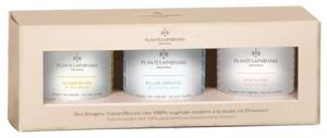 ZESTAW 3 Świec zapachowych perfumowanych - kolekcja Fall/Winter - Frosted Rose - By the Fireside - Walk in the Snow