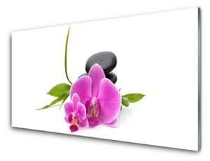 Obraz Szklany Kwiat Kamienie Roślina