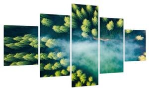 Obraz - Las spowity mgłą (125x70 cm)