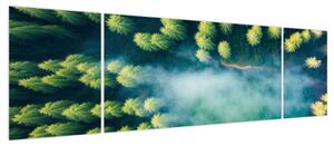 Obraz - Las spowity mgłą (170x50 cm)