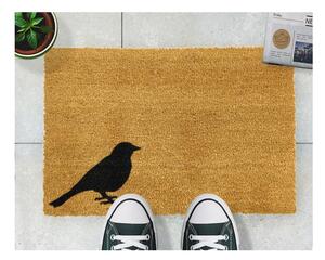Wycieraczka Artsy Doormats Bird, 40x60 cm