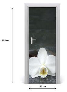 Nalepka Naklejka fototapeta na drzwi Orchidea
