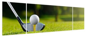 Obraz - Golf (170x50 cm)