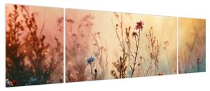 Obraz - Dzikie kwiaty (170x50 cm)