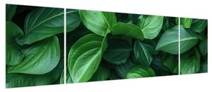Obraz - Zielone liście (170x50 cm)