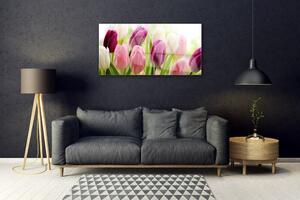 Obraz Szklany Tulipany Kwiaty Natura Łąka