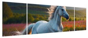 Obraz - Jednorożec (170x50 cm)