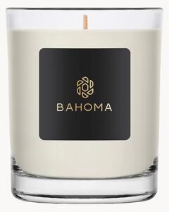 Duża świeca zapachowa Alchemy (bursztyn, szałwia)