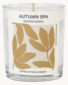 Świeca zapachowa Autumn Spa (sosna & cedr)