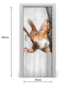 Naklejka samoprzylepna na drzwi Wiewiórka na drzewie