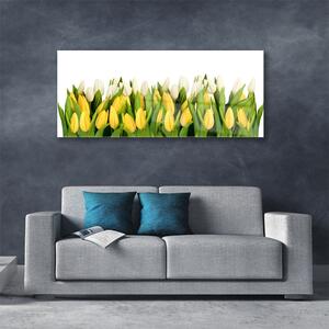 Obraz na Szkle Tulipany Kwiaty Roślina