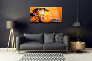 Obraz na Szkle Drzewa Słońce Natura