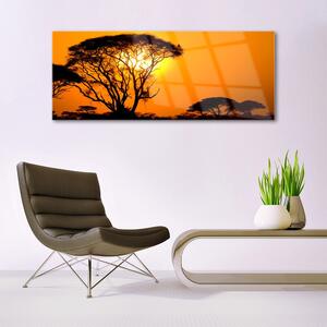 Obraz na Szkle Drzewa Słońce Natura