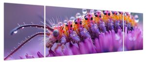 Obraz - Caterpillar (170x50 cm)