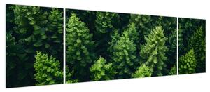 Obraz - Las (170x50 cm)