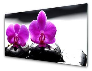Obraz Szklany Kwiaty Orchidea Natura