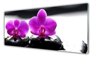Obraz Szklany Kwiaty Orchidea Natura