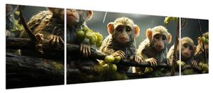 Obraz - Małpy (170x50 cm)