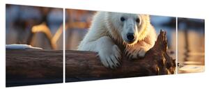 Obraz - Niedźwiedź polarny (170x50 cm)
