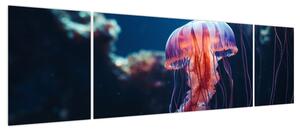 Obraz - Meduza (170x50 cm)