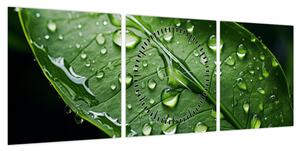 Obraz - Liść po deszczu (z zegarem) (90x30 cm)
