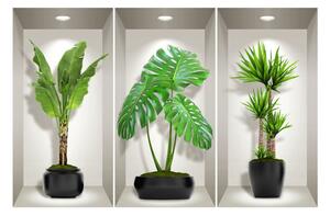 Komplet 3 naklejek ściennych 3D Ambiance Green Plants