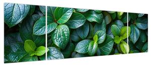 Obraz - Rośliny zielone (170x50 cm)