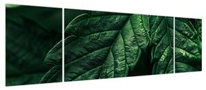 Obraz - Szczegół arkusza (170x50 cm)