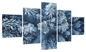 Obraz - Śnieżny las (125x70 cm)