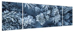 Obraz - Śnieżny las (170x50 cm)