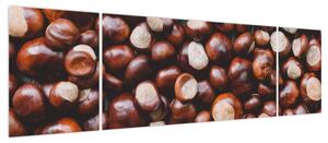 Obraz - Dojrzałe kasztany (170x50 cm)