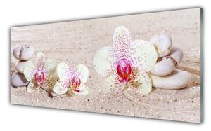 Obraz Szklany Storczyk Orchidea Piasek