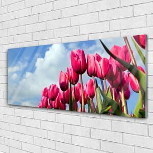 Obraz na Szkle Tulipan Na Ścianę