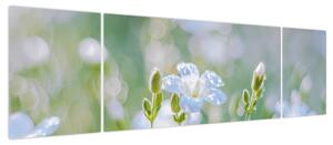 Obraz - Delikatne kwiaty (170x50 cm)