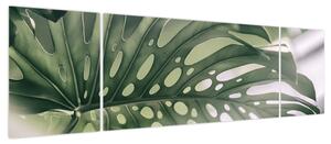 Obraz - Lista potworów (170x50 cm)