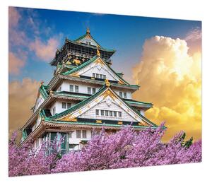 Obraz - Zamek Osaka (70x50 cm)