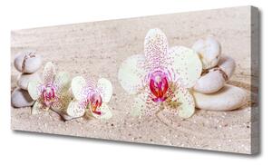 Obraz Canvas Storczyk Orchidea Piasek