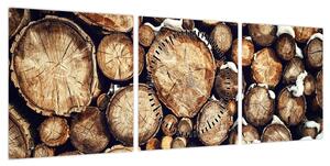 Obraz - Drewno w śniegu (z zegarem) (90x30 cm)