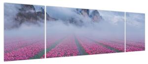 Obraz - Krajobraz z polami tulipanów (170x50 cm)