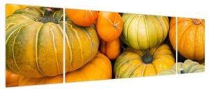 Obraz - Jesienna dynia (170x50 cm)