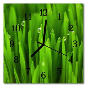 Zegar szklany kwadratowy Rosa na trawie
