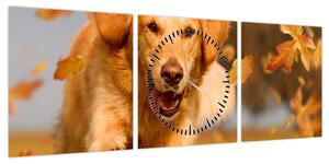 Obraz - Golden Retriever (z zegarem) (90x30 cm)