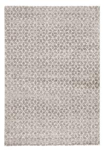 Szary dywan Mint Rugs Impress, 160x230 cm